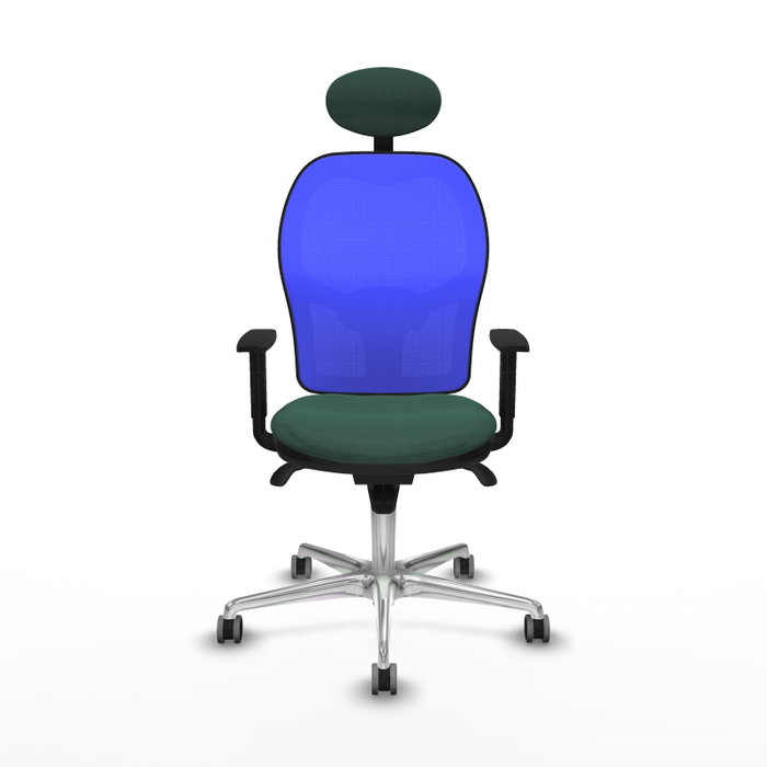 PIQUERAS Y CRESPO Silla de oficina Jorquera Verde botella y Azul PIQUERAS Y CRESPO Silla de oficina Jorquera Verde botella y Azul