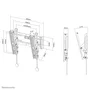 Neomounts NM-W125BLACK Soporte para TV de Pared con Inclinación, Hasta 40" (101.6 cm), VESA 75x75 - 200x200 mm, 20 kg, Negro