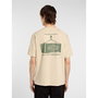 Camiseta de Manga Corta Hombre Dickies Apison Ss Beige 6-7 Años