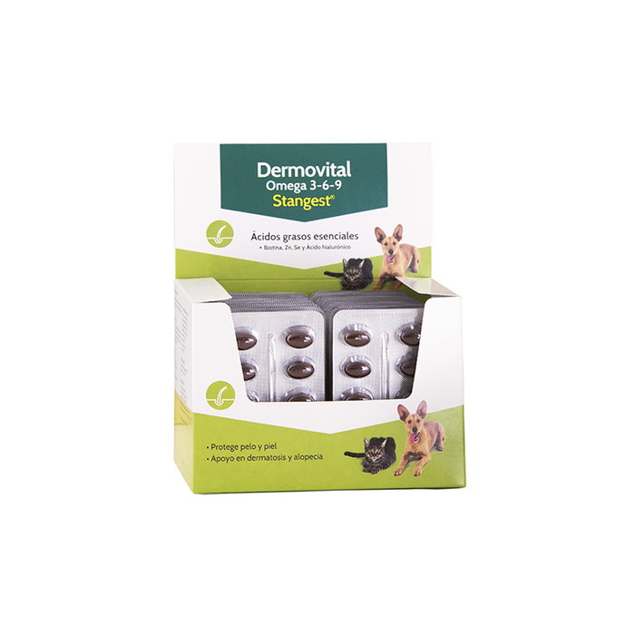 Stangest Dermovital Omega 3-6-9 Blister 300 Cápsulas