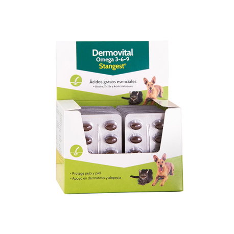 Stangest Dermovital Omega 3-6-9 Blister 300 Cápsulas