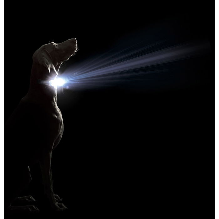 Collar para Perro Dog Gone Smart Rojo L Luz