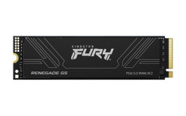 Kingston Fury Renegade 5.0 4096GB SFYR2S/4T0 Disco SSD