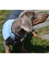 Nayeco Chaqueta para Perro Montecarlo Azul 20 cm Repelente al Agua Elegante y Funcional