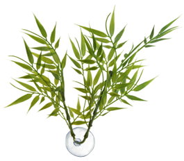Nayeco Betta Plant Bamboo Vet