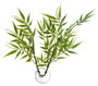 Nayeco Betta Plant Bamboo Vet