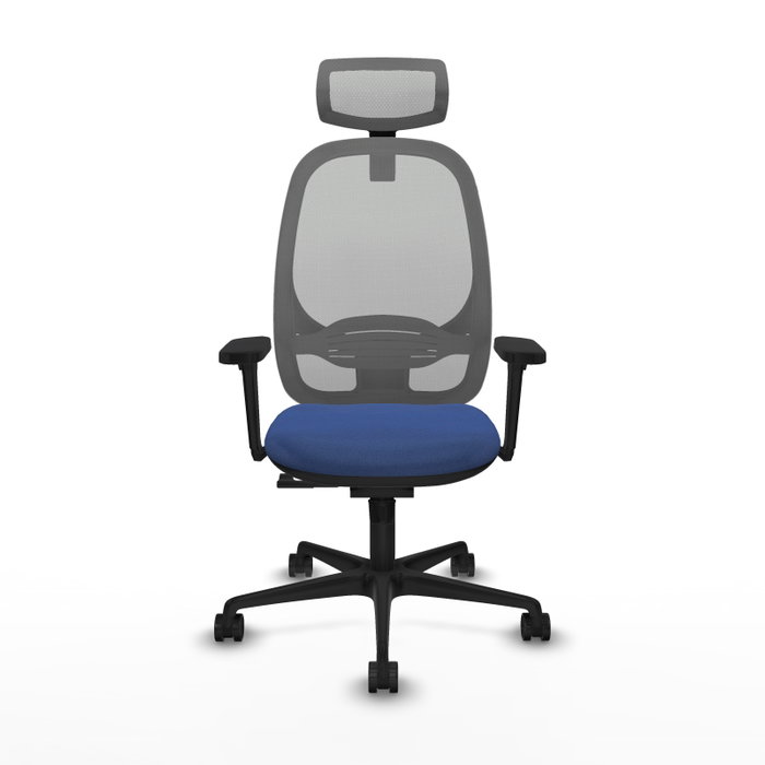 PIQUERAS Y CRESPO Silla de oficina Cilanco con Mecanismo Sincro, Azul marino y Gris PIQUERAS Y CRESPO Silla de oficina Cilanco con Mecanismo Sincro, Azul marino y Gris