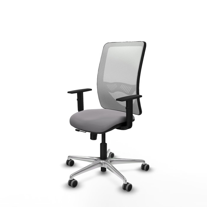PIQUERAS Y CRESPO Silla de oficina Zulema con mecanismo Sincro/Traslack, Gris y Blanco PIQUERAS Y CRESPO Silla de oficina Zulema con mecanismo Sincro/Traslack, Gris y Blanco