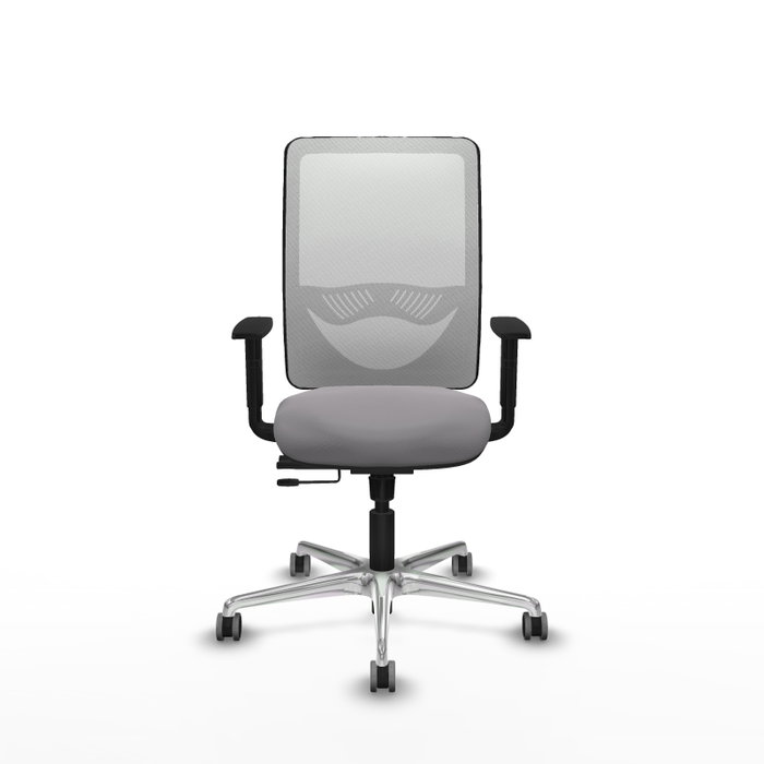 PIQUERAS Y CRESPO Silla de oficina Zulema con mecanismo Sincro/Traslack, Gris y Blanco PIQUERAS Y CRESPO Silla de oficina Zulema con mecanismo Sincro/Traslack, Gris y Blanco