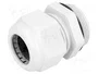 FIBOX Sello aislante M32