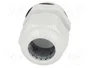 FIBOX Sello aislante M32