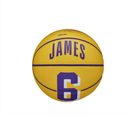 Balón de Baloncesto Wilson Nba Player Icon Mini Lebron Morado (Talla 3)
