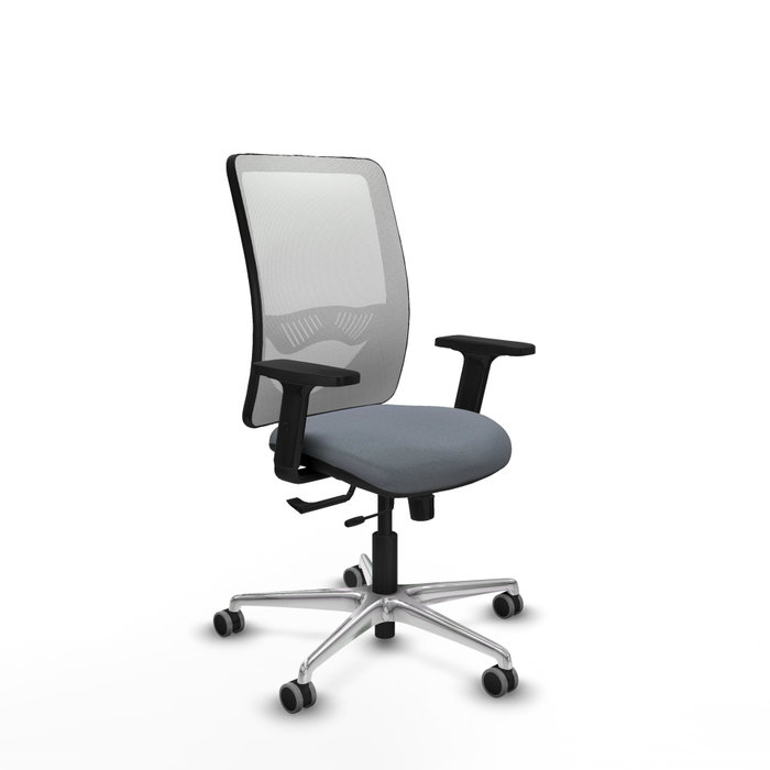PIQUERAS Y CRESPO Silla de oficina Zulema con mecanismo Sincro/Traslack, Gris y Blanco PIQUERAS Y CRESPO Silla de oficina Zulema con mecanismo Sincro/Traslack, Gris y Blanco
