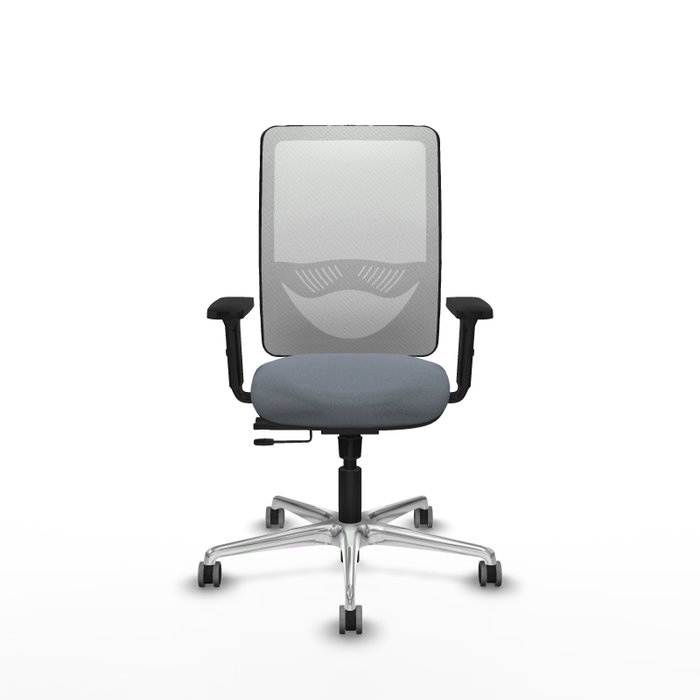 PIQUERAS Y CRESPO Silla de oficina Zulema con mecanismo Sincro/Traslack, Gris y Blanco PIQUERAS Y CRESPO Silla de oficina Zulema con mecanismo Sincro/Traslack, Gris y Blanco