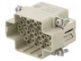 HARTING Han® DDD Plantilla de contacto macho 55 pines