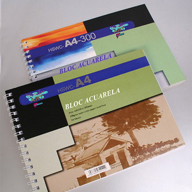 Pryse 6230034 Bloc de Hojas de Papel para Bellas Artes A3, 12 Hojas, 300 g/m² Pryse 6230034 Bloc de Hojas de Papel para Bellas Artes A3, 12 Hojas, 300 g/m²