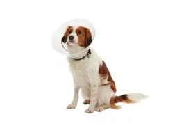 Kruuse Buster Clic Collar Juego 7,5-30cm