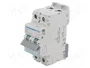 HAGER Interruptor magnetotérmico NDN 2P 25A 10kA