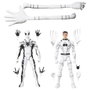 Hasbro Marvel Legends Pack de 2 Figuras Future Foundation: Mister Fantastic & Spider-Man de 15 cm