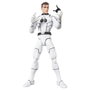 Hasbro Marvel Legends Pack de 2 Figuras Future Foundation: Mister Fantastic & Spider-Man de 15 cm