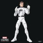 Hasbro Marvel Legends Pack de 2 Figuras Future Foundation: Mister Fantastic & Spider-Man de 15 cm