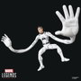 Hasbro Marvel Legends Pack de 2 Figuras Future Foundation: Mister Fantastic & Spider-Man de 15 cm