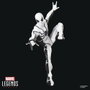 Hasbro Marvel Legends Pack de 2 Figuras Future Foundation: Mister Fantastic & Spider-Man de 15 cm