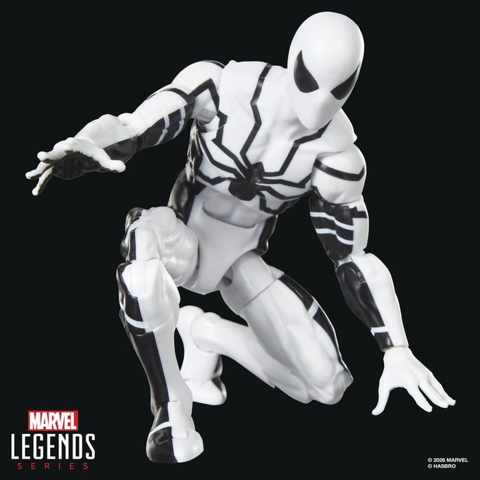 Hasbro Marvel Legends Pack de 2 Figuras Future Foundation: Mister Fantastic & Spider-Man de 15 cm