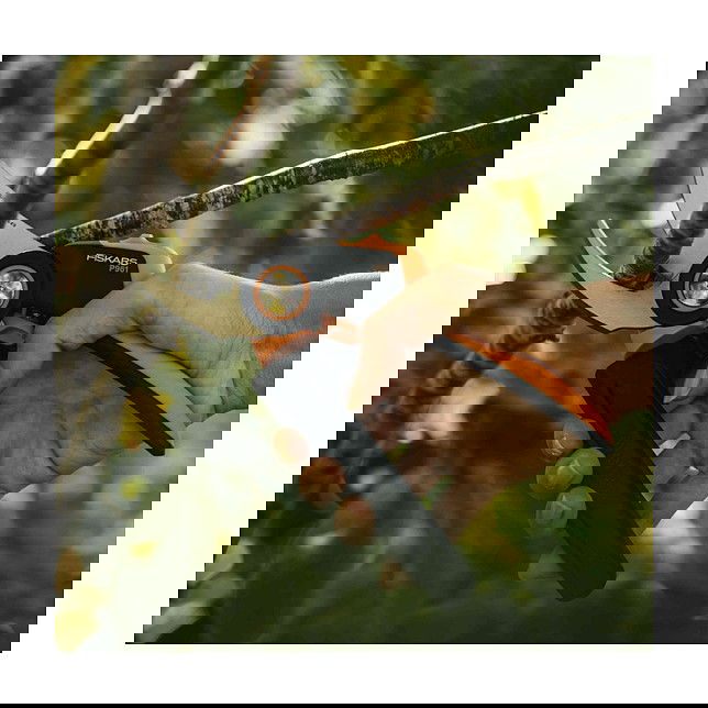 Fiskars X-series L P961 Tijeras de podar de Bypass, corte para evitar, acero inoxidable, longitud 222 mm, capacidad de corte 2.6 cm, 222 g