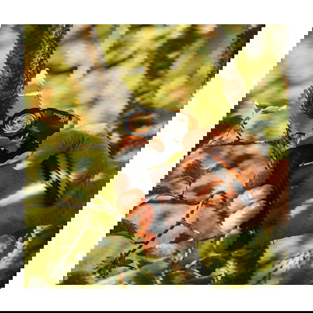 Fiskars X-series L P961 Tijeras de podar de Bypass, corte para evitar, acero inoxidable, longitud 222 mm, capacidad de corte 2.6 cm, 222 g