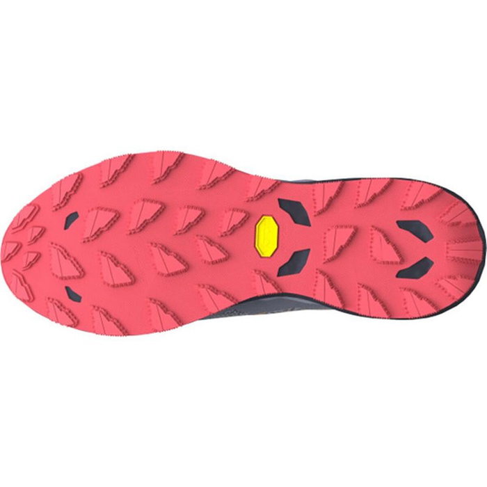 Zapatillas de trail para mujer Mizuno Wave Daichi 9 Gris 40