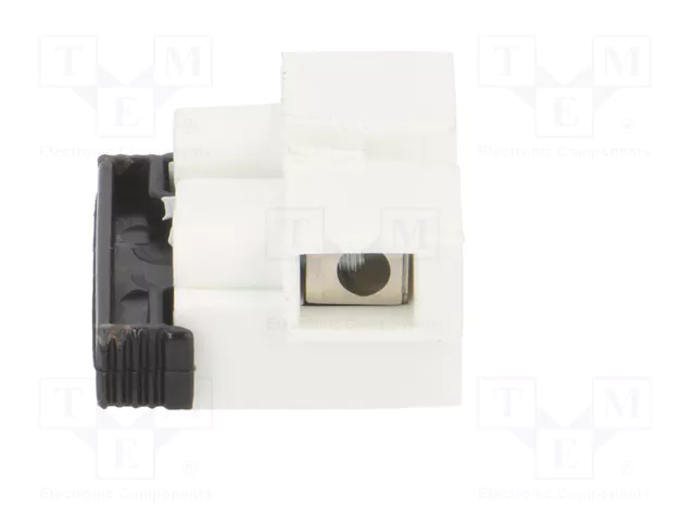 BM GROUP Bloque de bornas de alimentación blanco 450V