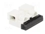 BM GROUP Bloque de bornas de alimentación blanco 450V
