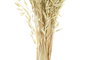 DKD Home Decor Ramo Shabby Verde 16 x 60 x 16 cm Flor Seca (12 Unidades)