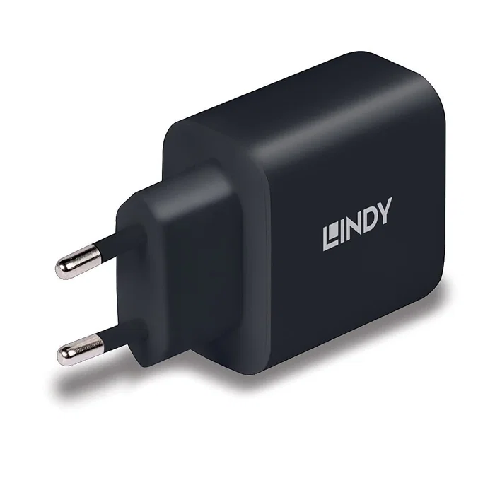 Lindy 73426 Cargador USB-C GaN 65W PD 3.0 Carga Rápida Universal, Negro