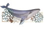DKD Home Decor Escultura de Pared Ballena Azul Marino y Turquesa