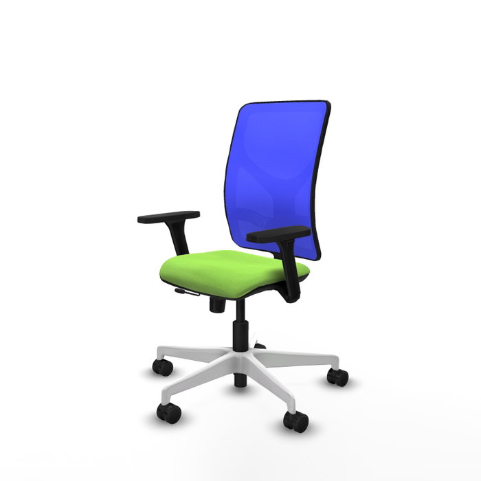 PIQUERAS Y CRESPO Silla de oficina Motilla con mecanismo Sincro/Traslack, Azul y Pistacho PIQUERAS Y CRESPO Silla de oficina Motilla con mecanismo Sincro/Traslack, Azul y Pistacho