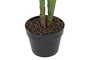 DKD Home Decor Planta Calatea Verde 80x80x120 cm