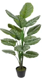 DKD Home Decor Planta Calatea Verde 80x80x120 cm