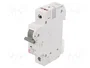 ETI POLAM ETIMAT 6 1P C32 Interruptor magnetotérmico 32A 6kA