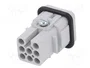 LAPP EPIC H-D Plantilla de Contacto Macho HDC 8 PIN
