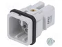 LAPP EPIC H-D Plantilla de Contacto Macho HDC 8 PIN