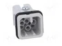 LAPP EPIC H-D Plantilla de Contacto Macho HDC 8 PIN