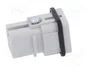 LAPP EPIC H-D Plantilla de Contacto Macho HDC 8 PIN