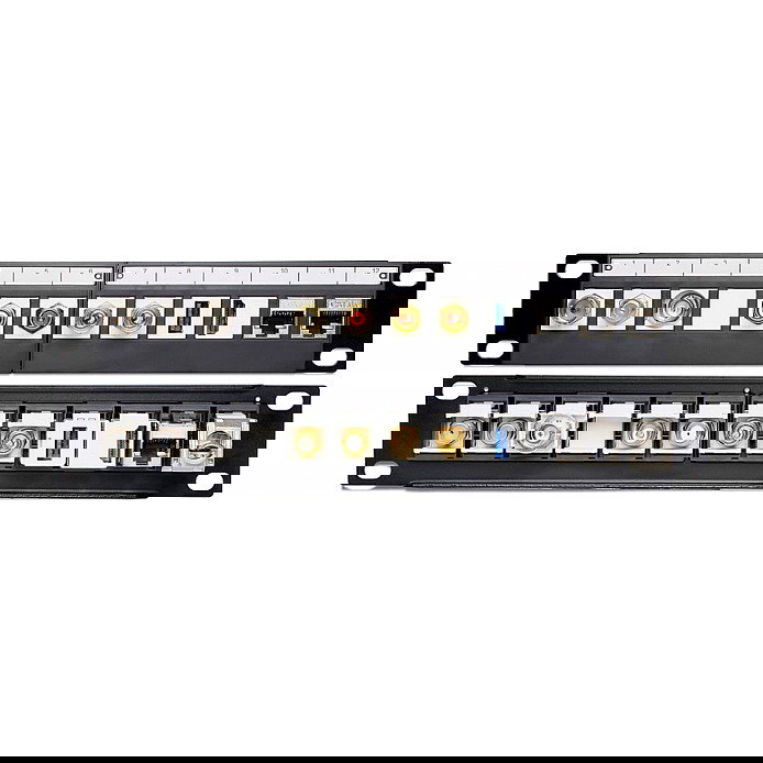 DeLOCK 43259 Patchpanel 12 Puertos RJ45 Negro, 255 mm x 44 mm x 12 mm