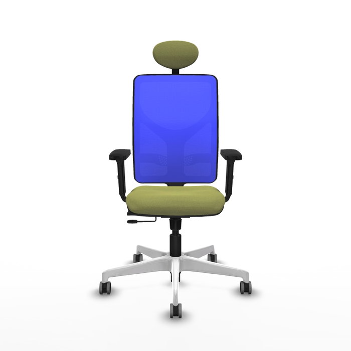 PIQUERAS Y CRESPO Silla de oficina Motilla con mecanismo Sincro/Traslack, Tela Verde oliva y Malla Azul