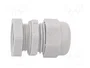 OBO Bettermann Prensaestopas V-TEC VM20+ LGR M20 Gris claro
