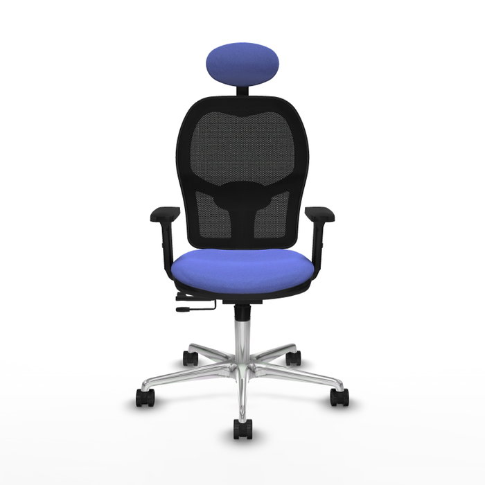 PIQUERAS Y CRESPO Silla de oficina Jorquera con mecanismo Sincro/Traslack, Azul claro y Negro PIQUERAS Y CRESPO Silla de oficina Jorquera con mecanismo Sincro/Traslack, Azul claro y Negro