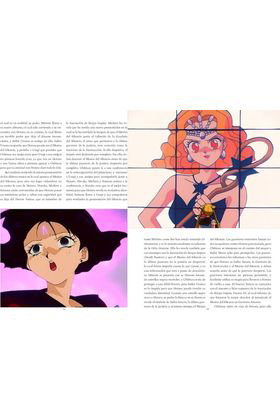 En Nombre De Luna Te Castigare. El Universo Magico De Sailor Moon (1 De 2)