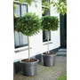 Elho Jardinera Green Basics Cilinder 65 Negro Ø 64 x H 49 cm 100% reciclado ELH8711904149178
